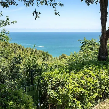 S207 - Sirolo, Meraviglioso Bilocale In Centro Sirolo